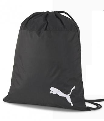 Puma Teamgoal 23 Gymtas