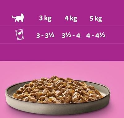 WHISKAS Poultry feast in jelly - natvoer voor katten - 80 x 85 g