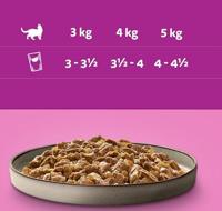 WHISKAS Poultry feast in jelly - natvoer voor katten - 80 x 85 g - thumbnail