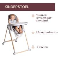 Kinderstoel Polly Armonia CHICCO bruin - thumbnail