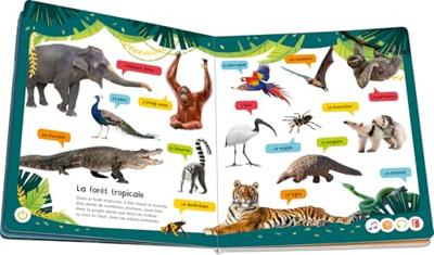 Ravensburger-tiptoi-Interactief boek Ken jij de geluiden van dieren?-Elektronisch educatief spel, schermvrij-Leeftijd 3+-13099074