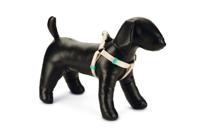 Beeztees uni - hondentuig - nylon - beige - 35-60cmx15mm - thumbnail