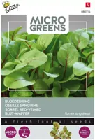 Zaden Microgreens Bloedzuring Buzzy - Buzzy - thumbnail