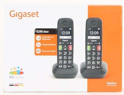 Gigaset compatible E290 Duo bk | L36852-H2901-B101
