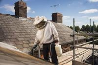 Birchmeier Mini-Flex 54 cm - thumbnail