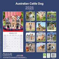 Australian Cattle Dog Kalender 2026 - thumbnail