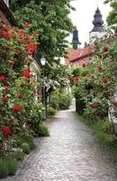 Tuindoek alley roses 210x140cm rood Customize-it - Customize it - thumbnail