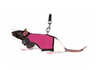 TRIXIE SOFTTUIG MET RIEM GROTE KONIJNEN ASSORTI 25-40 CM / 120 CM 4 ST - thumbnail