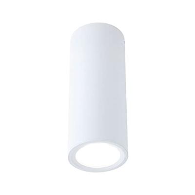 Paulmann 93105 Barrel LED-opbouwlamp LED 6 W Wit (mat) Paulmann 93105 Barrel LED-opbouwlamp LED 6 W Wit (mat)