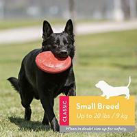 KONG Flyer, robuuste hondenfrisbee van natuurlijk rubber, voor kleine honden - thumbnail