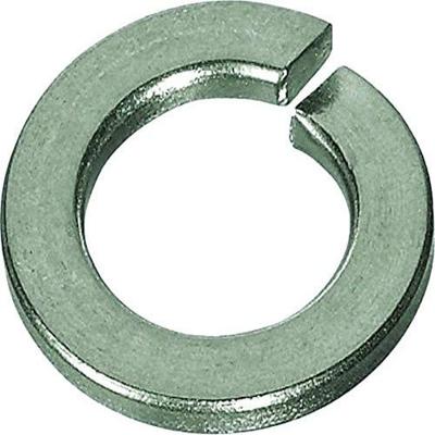 Dresselhaus Spring washers form a m8