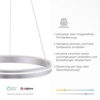 Paul Neuhaus Smart hanglampQ-Vito Ø 59cm grijs - 8411-55 - thumbnail
