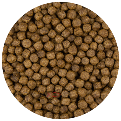 Pond Pro Koivoer - 6mm Pellets voor Gezonde Groei & Stralende Huid - 5kg Pakket