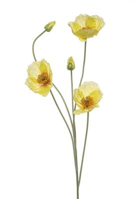 Poppy spray x5 yellow 110 cm kunstplant Emerald - Emerald