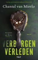 Verborgen verleden - Chantal van Mierlo - ebook - thumbnail