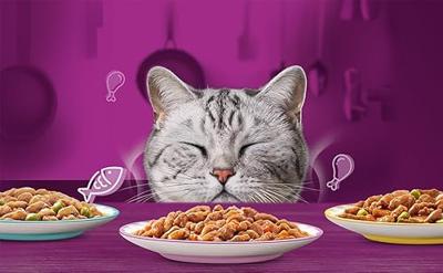 WHISKAS Aromatic selection Mix - nat kattenvoer - 40x85g