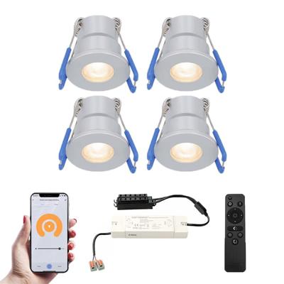 Set van 4 Milano Smart LED Mini Inbouwspots - Veranda spots - 12V 3W 200lm - Dimbaar - Wifi & Bluetooth - 2700K - IP65 waterdicht - RVS