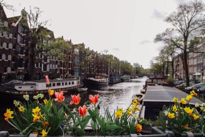 Tuinschilderij bloemengracht 130x70 Customize-it - Customize it