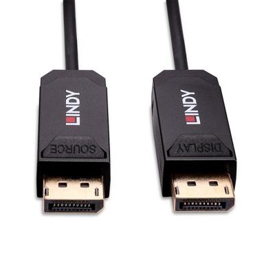 Lindy 38525 DisplayPort kabel 10 m Zwart