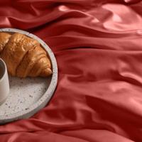 Dommelin Dommelin Laken Uni Satijn 300TC 577 Terracotta 160x270 cm - thumbnail