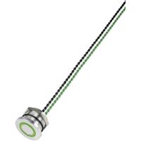 TRU COMPONENTS 649962 PS223P10Y01G24T Piëzotoets Groen (Ø) 28 mm 1 stuk(s) - thumbnail