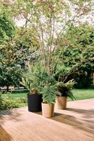 Foss rond 35 cm paddenstoel beige bloempot elho - Elho - thumbnail