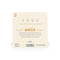 D'Addario EFW74 Flatwound Stainless Steel Medium 11-36 snaren voor mandoline - thumbnail