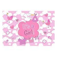 Raamvlag it&apos;s a girl - thumbnail