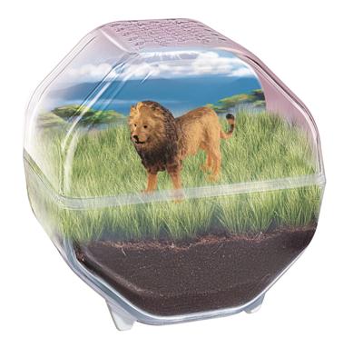 CLEMENTONI - Mini-terrarium - Leeuw