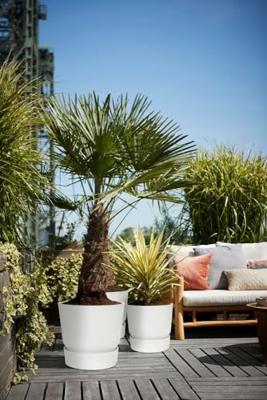 Bloempot Elho 0464344715000 Wit Cirkelvormig