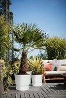 Bloempot Elho 0464344715000 Wit Cirkelvormig - thumbnail