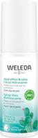 Weleda Hydraterende Gezichtsspray 100ml - thumbnail