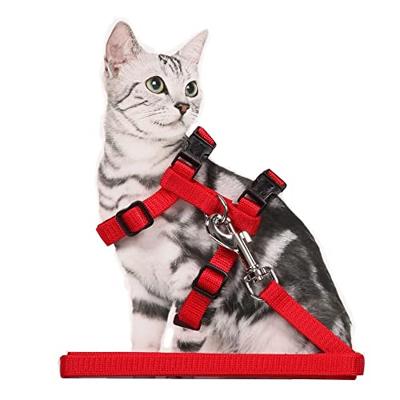 Pawise Kitten Harness Leash-Red/Blue