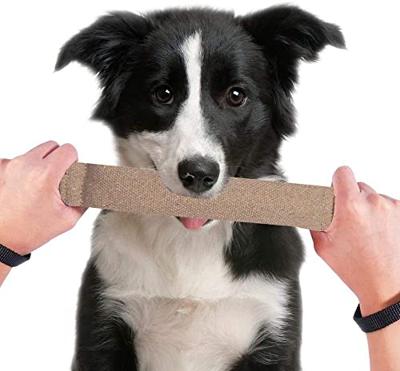 Kauwspeelgoed voor honden Trixie 43 cm - thumbnail