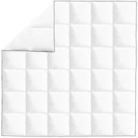 VidaXL Winterdekbed 200x200 cm dons - thumbnail