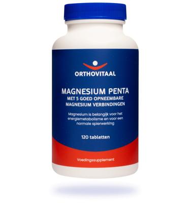 Magnesium penta 120 Tabletten