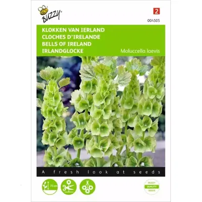 Molucella, Klokken van Ierland