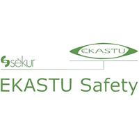 Ekastu DAYLIGHT 277 375 Veiligheidsbril Grijs, Groen EN 166-1 DIN 166-1 - thumbnail