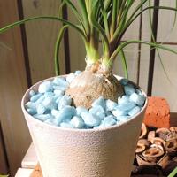 Marbles zilver fles 1 kilogram Mica - Mica decorations - thumbnail