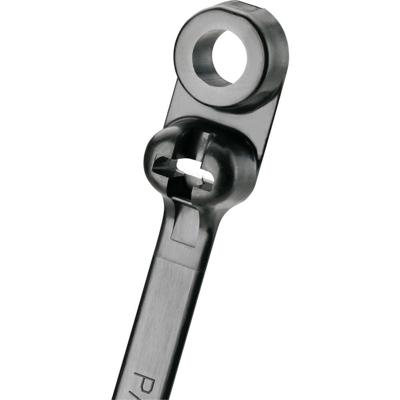 Panduit BC2S-S10-C0 BC2S-S10-C0 Kabelbinder 216 mm 4.70 mm Zwart Met bevestigingsogen 1 stuk(s) Panduit BC2S-S10-C0 BC2S-S10-C0 Kabelbinder 216 mm 4.70 mm Zwart Met bevestigingsogen 1 stuk(s)
