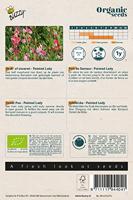 Biologische Lathyrus, Reuk- of siererwt Painted Lady - thumbnail