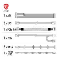MSI MAG A750GL PCIE5 - thumbnail