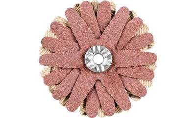 PFERD TOOLS 42732068 Schuursterren Diameter 50 mm 10 stuk(s)