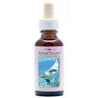 Animal Essences Seal (zeehond) 30 Milliliter - thumbnail