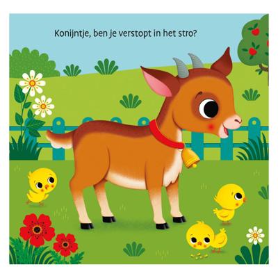 Boek Waar Is He Konijntje?