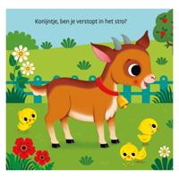 Boek Waar Is He Konijntje? - thumbnail