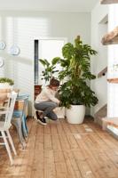 Elho brussels round wheels 35 white - thumbnail