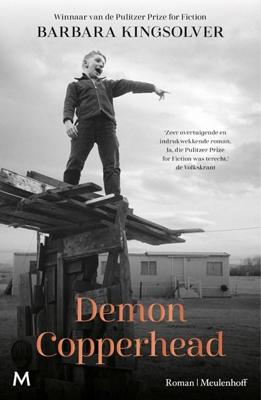 DEMON COPPERHEAD - Barbara Kingsolver - ebook