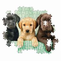 Clementoni puzzel drie labradors - 1000 puzzelstukjes - thumbnail