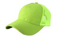 High ponytail pet - thumbnail